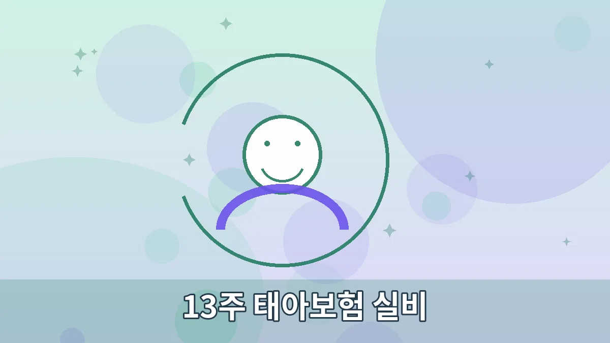 13주 태아보험 실비 안내 이미지 3